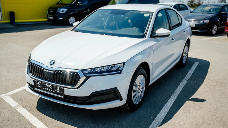 Аренда машины Skoda Octavia new в Крыму